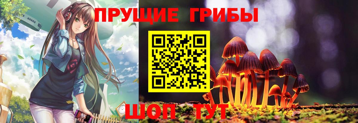 Галлюциногенные грибы Psilocybe  Вход с VPN  Мелеуз 